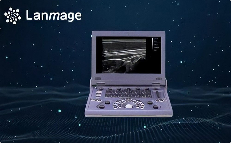Lanmage presented color Doppler ultrasound system C6